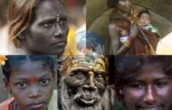 Les Noirs bleus de l'Inde : les Dravidiens appartiennent à la (race bleue de l'Inde), ceux du Dieu Krishna « Ce sont des Africains à la peau Noire et aux cheveux lisses qui auraient quitté l'Afrique il y a 50 000 ans J.C ; ils subissent beaucoup de racisme à cause de leur peau bleu foncé; leur teint magnifique a inspiré le réalisateur du film Avatar (Avatar en sanskrit signifie incarnation)»