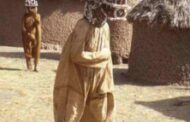 Masque Sénoufo Wanyugo : les masques wanyugo sont portés lors des cérémonies funéraires de la société initiatique du poro, et permettent au défunt d'entrer au royaume des esprits (leur rôle est en fait de protéger le village des esprits malveillants et de la sorcellerie, et de préserver la communauté du malheur et des maladies) « Originaire du (bois sacré), sanctuaire des ancêtres et des esprits de la brousse, ce masque était porté par un initié du poro » 
