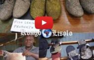 Au Kenya, cette tannerie recycle les peaux de poisson pour en faire du cuir: sa petite entreprise a créé des emplois; ils ne récupèrent que les « Déchets »; pour les recycler; quoi qu'il en soit, ces poissons seraient morts et leur peau jetée ... (VIDÉO)