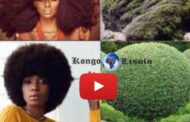 L'art capillaire Noire/Africaine : les femmes Noires/Africaines sont-elles conscientes que garder leurs cheveux naturels signifie être en harmonie avec la nature dans son essence ? « La diversité des cheveux crépus est un réel atout, Il existe très peu de têtes afro contenant un seul type ou une seule texture de cheveu (la bonté, c'est la coquetterie des cheveux Noirs/Africains) » ... (VIDÉO)