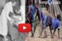 Kenya : le gouvernement accuse l’OMS de stériliser sa population via des vaccins « Un exercice de stérilisation de masse, déclare le gouvernement. Le gouvernement aurait trouvé un agent anti-fertilité dans le vaccin contre le tétanos »