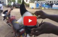Devoir de mémoire : Congo – Kinshasa; l'homme qui transforme les sacs plastiques en animaux « Il arrive à en vivre et à faire travailler une vingtaine de personnes » ... (VIDÉO)